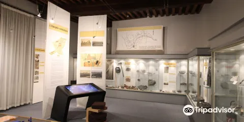 Musée d'histoire Naturelle