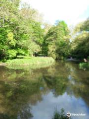 Cassiobury Park