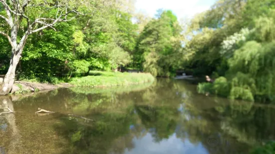 Cassiobury Park