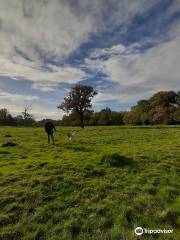 Swift Valley Country Park