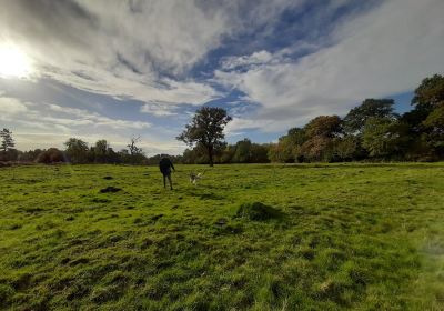 Swift Valley Country Park