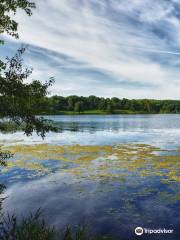 Rock Cut State Park