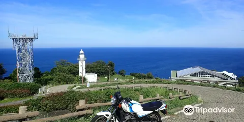 越前岬水仙樂園