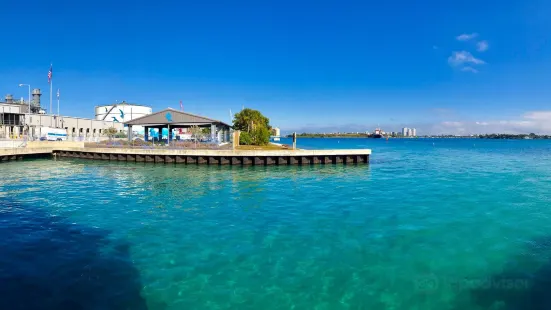 Manatee Lagoon