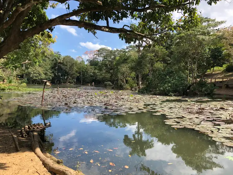 Claxton Bay