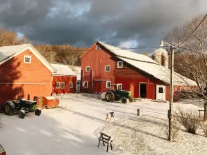 Buck Hill Farm