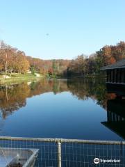 Current River State Park