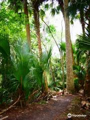 Black Bear Wilderness Area