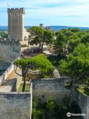 Castillo y jardines de Beaucaire