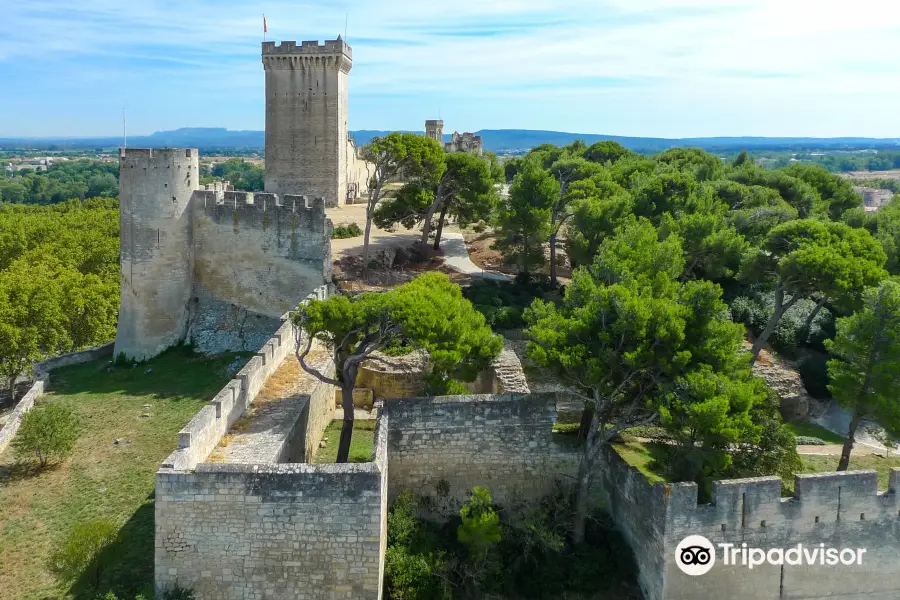 Beaucaire Castle