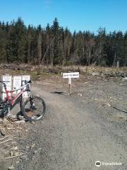 BikePark Wales