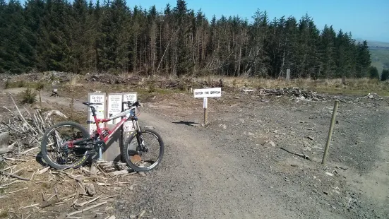 BikePark Wales