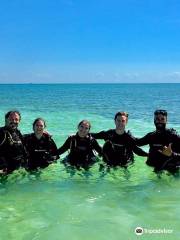 Try Scuba Diving - Key West
