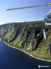 大島陽光直升機觀光