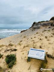 Canunda National Park