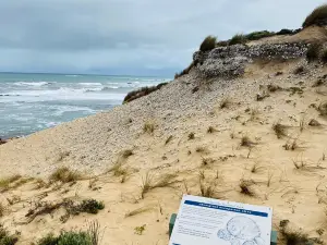 Canunda National Park