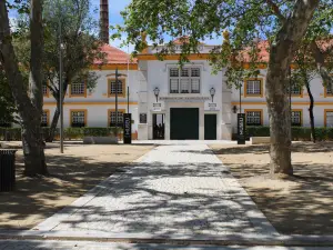 Fabrica de Porcelana da Vista Alegre Museum