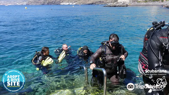 Scubanana Dive Center