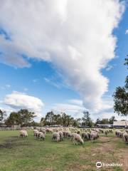 The Woolshed at Jondaryan