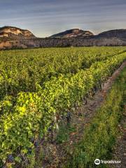 Township 7 Vineyards & Winery