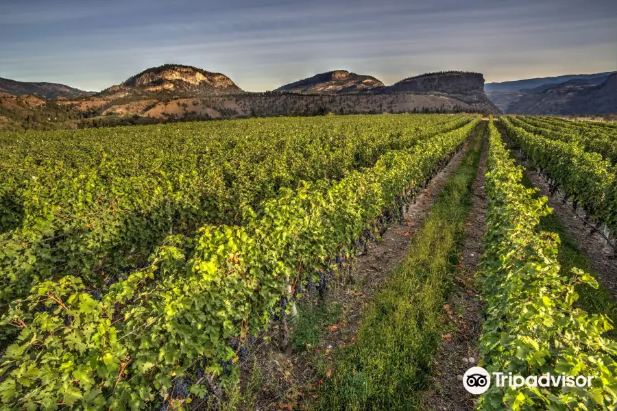 Township 7 Vineyards & Winery - Naramata Bench