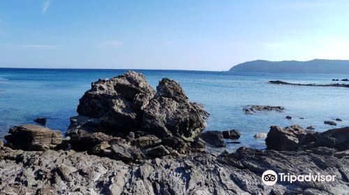 Spiaggia di Felciaio