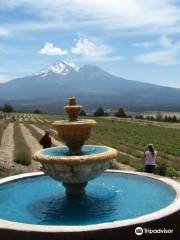 Mt. Shasta Lavender Farms