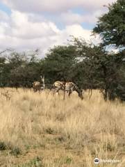 Sandveld Nature Reserve