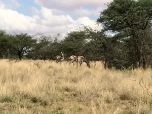 Sandveld Nature Reserve