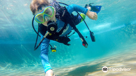 Scuba Steve