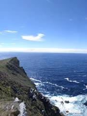 Bray Head Loop Walk