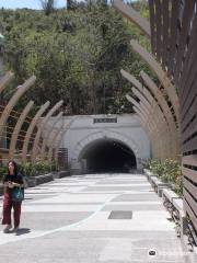 Xiziwan Tunnel (Old Shoushan Cave)