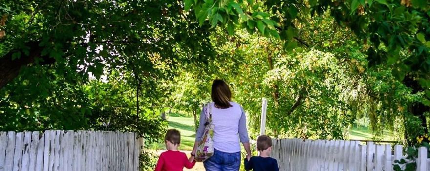 Ferguson’s Minnesota Harvest Craft Cider Bar & Orchard
