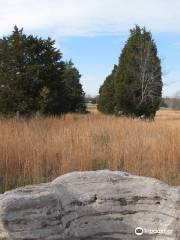 Champ de bataille national de la Stones River