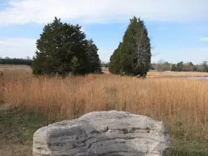 Stones River National Battlefield