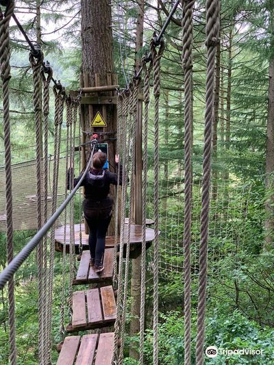 Go Ape Dalby