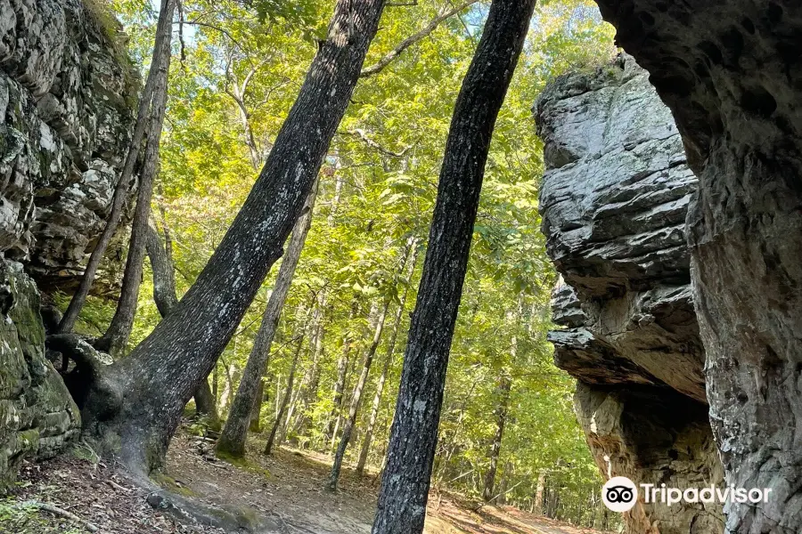 Bear Cave Trail