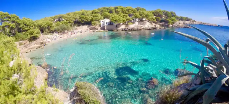 Protur Properties in Llevant