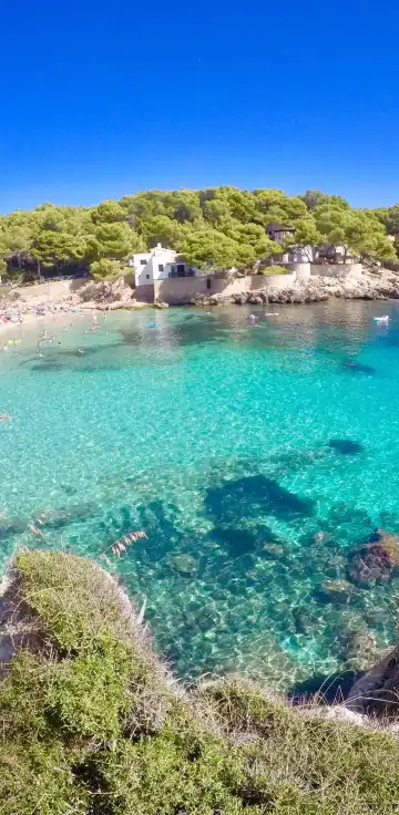 Protur Properties in Llevant