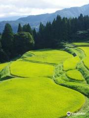 Rice terrace, Mt.Ue