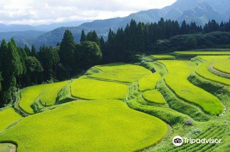 Rice terrace, Mt.Ue