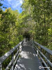 Fern Forest Nature Center