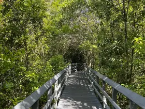 Fern Forest Nature Center