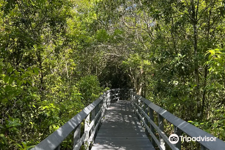 Fern Forest Nature Center