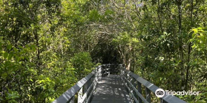 Fern Forest Nature Center