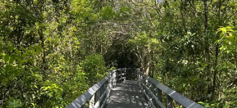 Hotels in Coconut Creek