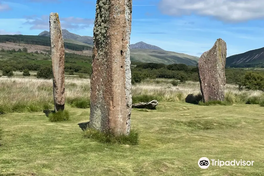 Machrie Moor Stone Circles