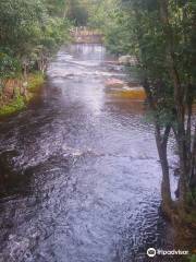 Cachoeira dos Passaros