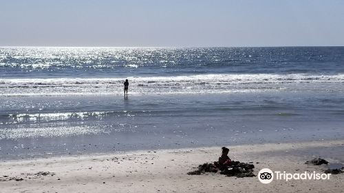 South Carlsbad State Beach Campground