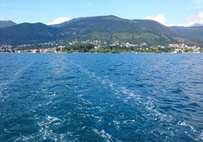 Tivat
